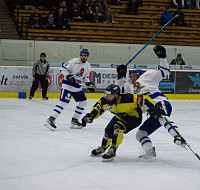 DSC_0604.jpg