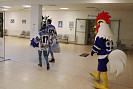 IMG_6530.jpg