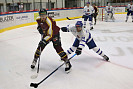 IMG_7320.jpg