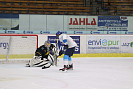 IMG_1966.jpg