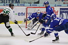 IMG_4595.jpg