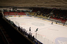 IMG_5606.jpg