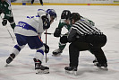 IMG_3173.jpg