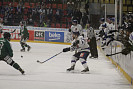 IMG_3224.jpg