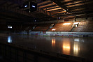 IMG_7317.jpg