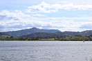 IMG_7386.jpg
