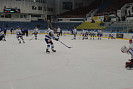 IMG_3685.jpg