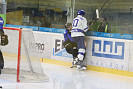 IMG_8252.jpg