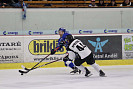 IMG_8646.jpg