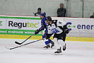 IMG_8739.jpg