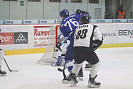 IMG_9078.jpg
