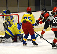DSC_0503.JPG
