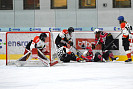 DSC_0445.JPG