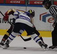 IMG_7664.jpg