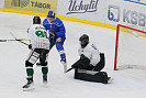 IMG_4168.jpg