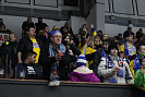 IMG_7895.jpg