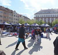 IMG_5181.jpg