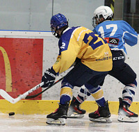 IMG_6460.jpg