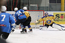IMG_6546.jpg