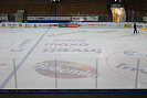 IMG_8229.jpg