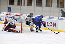 IMG_2348.jpg