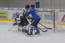 IMG_2355.jpg