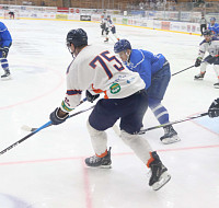 IMG_2394.jpg