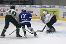 IMG_4206.jpg
