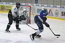 IMG_4225.jpg