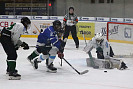 IMG_4231.jpg