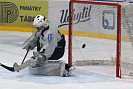 IMG_4239.jpg