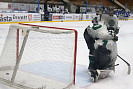 IMG_4294.jpg