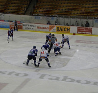 PA206861.JPG