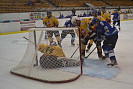 DSC_0461.JPG