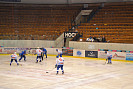 DSC_0923.JPG