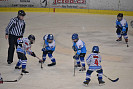 DSC_0102.JPG