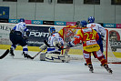 DSC_0502.JPG