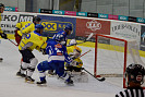 DSC_0183.JPG