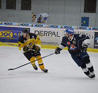 DSC_9231.jpg