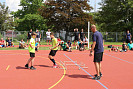IMG_0455.jpg