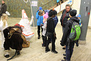 IMG_4497.jpg