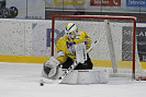 IMG_3877.jpg