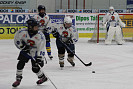 IMG_5715.jpg