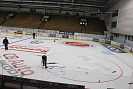 IMG_4969.jpg