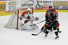 IMG_8781.jpg