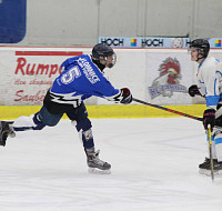 IMG_8240.jpg