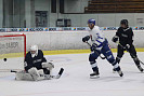 IMG_5310.jpg