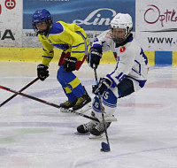 IMG_7480.jpg