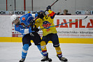 DSC_8769.JPG
