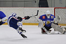 IMG_4421.JPG